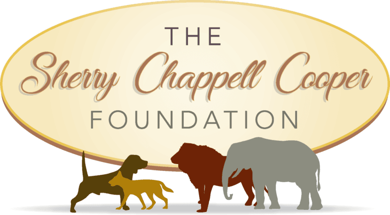 Sherry Chappell Cooper Foundation logo final no text